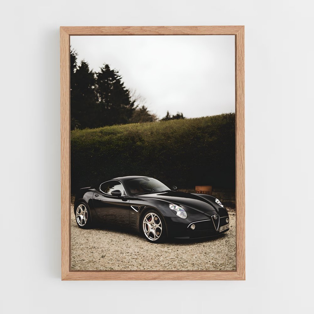 Poster Competizione Parfait – affiche Alfa Romeo (vue 4)